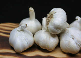 garlic